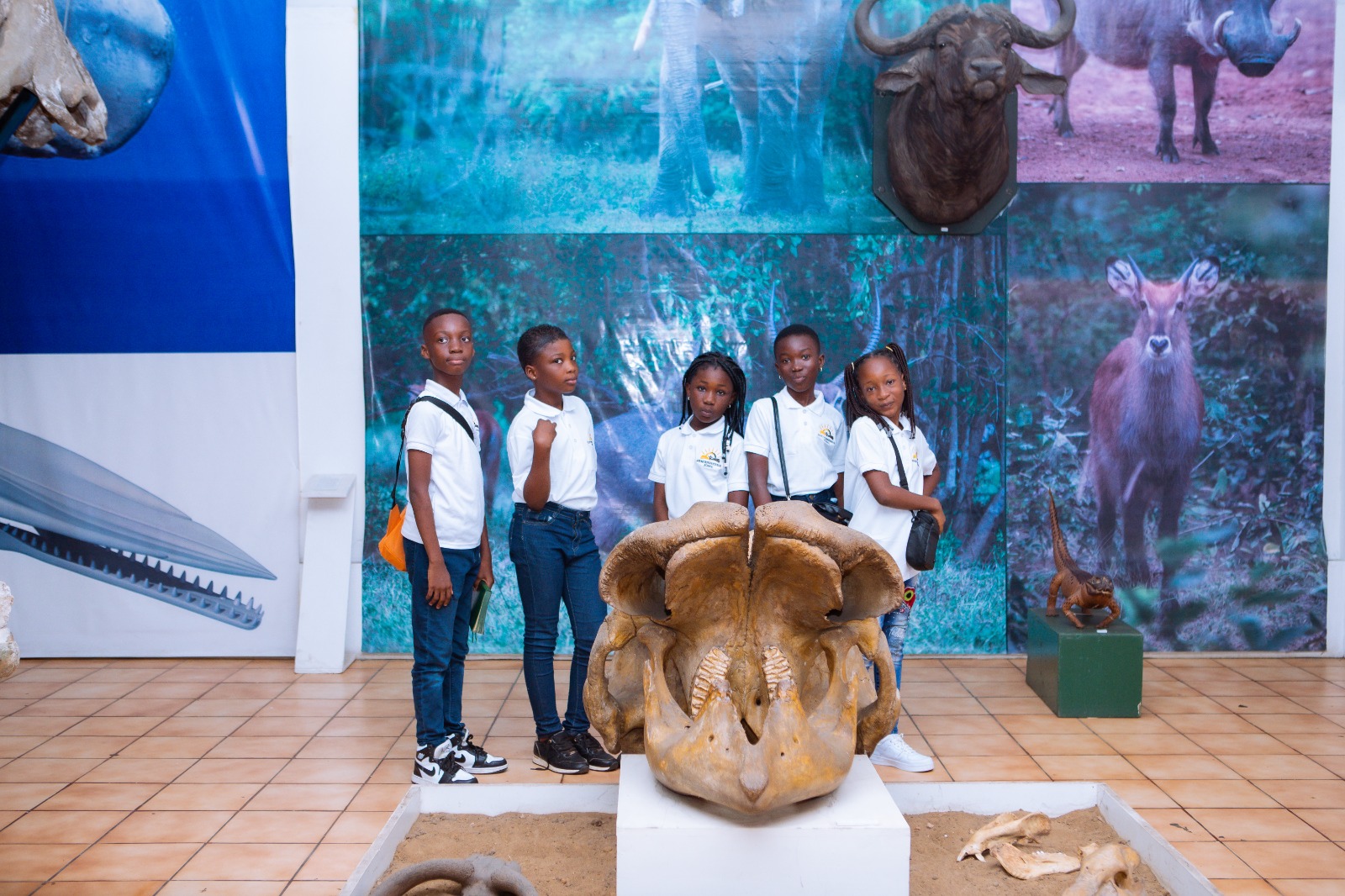 Students examining natural history exhibits during educational field trip